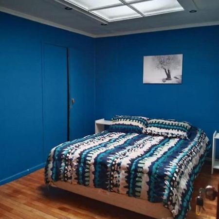 Descanso Patagonico Punta Arenas Ngoại thất bức ảnh